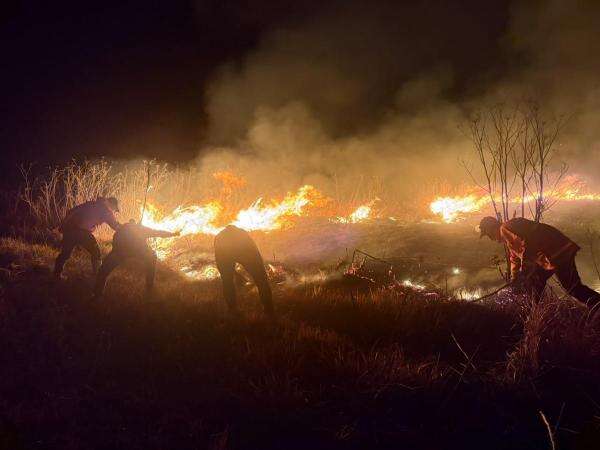 Kawasan Gunung Bromo Masih Terbakar, BNPB Lanjutkan Pemadaman via Darat dan Udara Kawasan Gunung Bromo Masih Terbakar, BNPB Lanjutkan Pemadaman via Darat dan Udara
