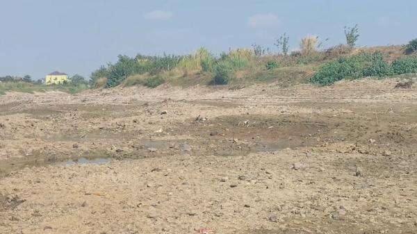 Kekeringan Ekstrem di Pati, 1.700 Hektare Sawah Terancam Gagal Panen Kekeringan Ekstrem di Pati, 1.700 Hektare Sawah Terancam Gagal Panen