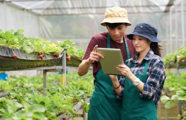 Cara Daftar Petani Milenial 2024 dan Syaratnya Lengkap Cara Daftar Petani Milenial 2024 dan Syaratnya Lengkap