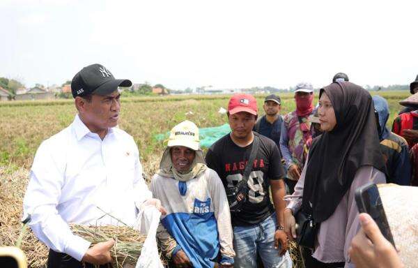 Mentan Amran Tepati Janji, Bantuan Alsintan untuk Petani Karawang Tiba dalam Hitungan Jam Mentan Amran Tepati Janji, Bantuan Alsintan untuk Petani Karawang Tiba dalam Hitungan Jam