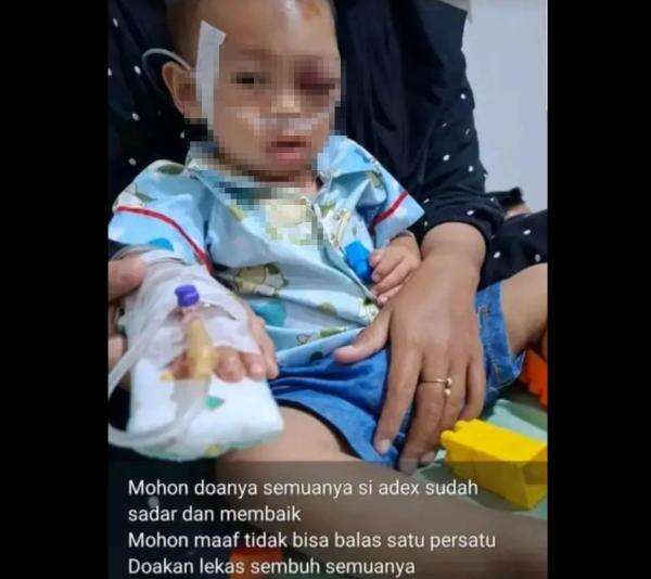 Viral! Balita Dilempar Batu oleh ODGJ saat Makan di Warung Bakso Viral! Balita Dilempar Batu oleh ODGJ saat Makan di Warung Bakso