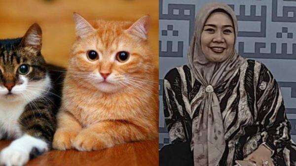 Tinggalkan Puluhan Kucing Peliharaanya, Almarhum Eny Banjir Doa dari Cat Lovers Tinggalkan Puluhan Kucing Peliharaanya, Almarhum Eny Banjir Doa dari Cat Lovers