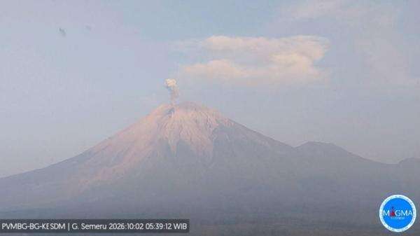Gunung Semeru Erupsi Lagi, Warga Diminta Jauhi Besuk Kobokan hingga Radius 13 Km Gunung Semeru Erupsi Lagi, Warga Diminta Jauhi Besuk Kobokan hingga Radius 13 Km