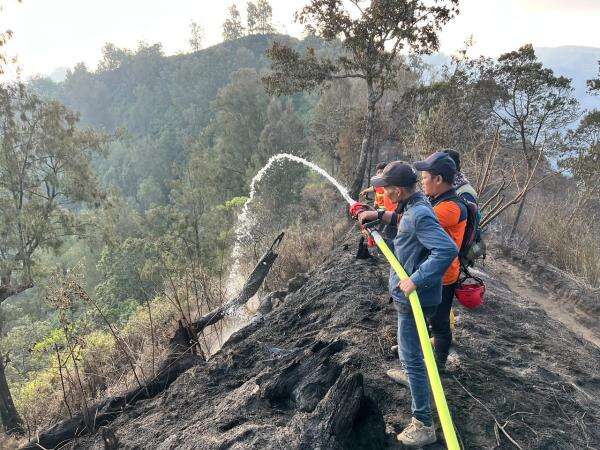 Empat Gunung di Jawa Timur Dikepung Karhutla, Penanganan Terkendala Angin hingga Kabut Tebal Empat Gunung di Jawa Timur Dikepung Karhutla, Penanganan Terkendala Angin hingga Kabut Tebal