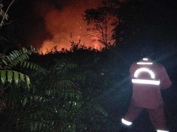 Kemenhut Terkendala Aksesibilitas dan Pasokan Air saat Padamkan Karhutla di Kalimantan Kemenhut Terkendala Aksesibilitas dan Pasokan Air saat Padamkan Karhutla di Kalimantan