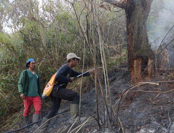 TN Bromo Tengger Semeru Kebakaran Lagi, Jalur Pendakian ke Ranu Kumbolo Ditutup TN Bromo Tengger Semeru Kebakaran Lagi, Jalur Pendakian ke Ranu Kumbolo Ditutup