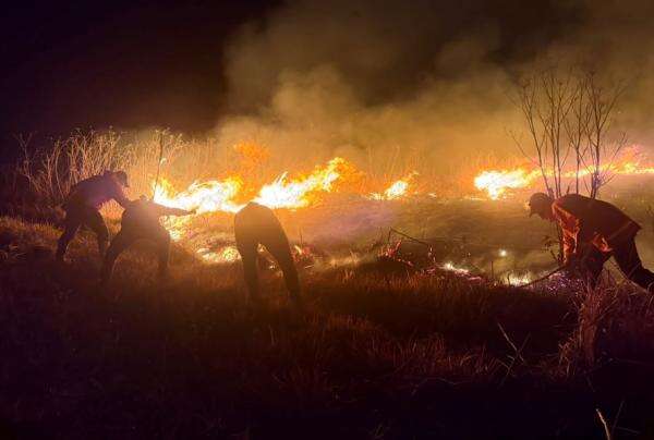 Gunung Bromo Kebakaran, Petugas Jatuhkan Ribuan Liter Air Padamkan Kobaran Api Lewat Udara Gunung Bromo Kebakaran, Petugas Jatuhkan Ribuan Liter Air Padamkan Kobaran Api Lewat Udara