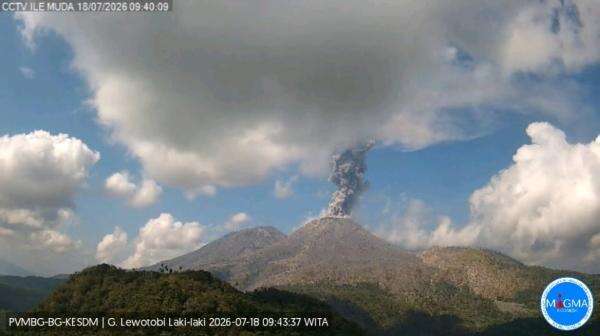 Gunung Lewotobi Laki-laki Erupsi Lagi, Semburkan Kolom Abu 1.000 Meter Gunung Lewotobi Laki-laki Erupsi Lagi, Semburkan Kolom Abu 1.000 Meter