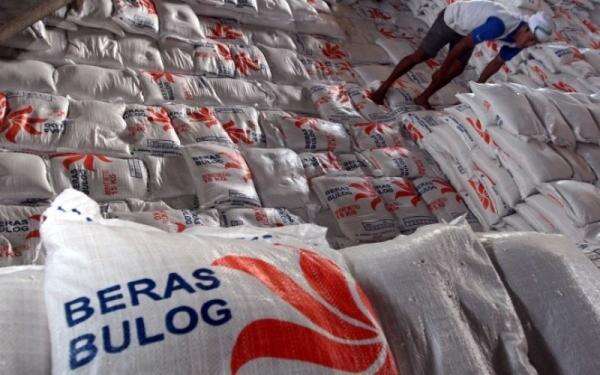 Stok Beras Capai 5,25 Juta Ton, Bulog Pastikan Pasokan Bergerak dan Tak Menumpuk di Gudang Stok Beras Capai 5,25 Juta Ton, Bulog Pastikan Pasokan Bergerak dan Tak Menumpuk di Gudang