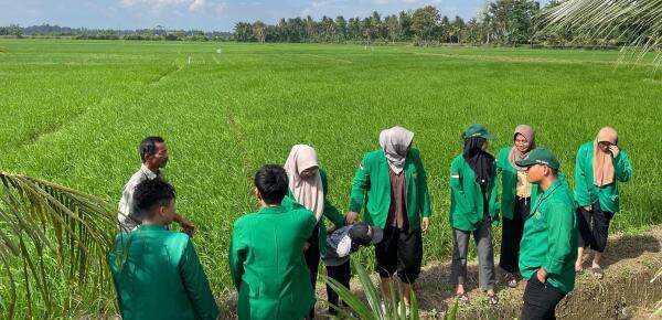 Kelompok KKN 237 Universitas Malikussaleh Lakukan Survei Langkah Menuju Ketahanan Pangan Kelompok KKN 237 Universitas Malikussaleh Lakukan Survei Langkah Menuju Ketahanan Pangan