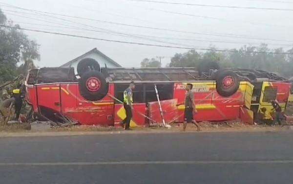 Detik-Detik Mengerikan Bus Terguling di Mesuji Lampung Tewaskan 3 Orang, 25 Luka-Luka Detik-Detik Mengerikan Bus Terguling di Mesuji Lampung Tewaskan 3 Orang, 25 Luka-Luka