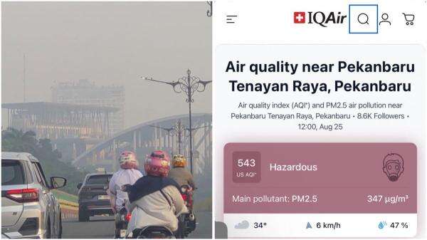 Gawat! Kualitas Udara Tenayan Raya Pekanbaru Masuk Kategori Berbahaya akibat Karhutla Gawat! Kualitas Udara Tenayan Raya Pekanbaru Masuk Kategori Berbahaya akibat Karhutla