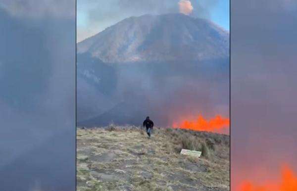 Karhutla Semeru, Relawan Temukan Tulang Belulang Kijang dan Jejak Macan Tutul Karhutla Semeru, Relawan Temukan Tulang Belulang Kijang dan Jejak Macan Tutul