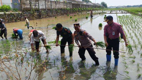 Dukung Asta Cita, Lahan Produktif di Batang Dioptimalkan Dukung Asta Cita, Lahan Produktif di Batang Dioptimalkan