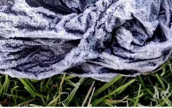 Fenomena Bediding Kembali Terjadi, BMKG Ungkap Suhu Dingin di Dieng Tembus 0,7 Derajat Celsius Fenomena Bediding Kembali Terjadi, BMKG Ungkap Suhu Dingin di Dieng Tembus 0,7 Derajat Celsius