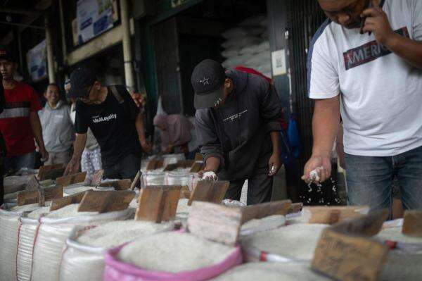 Modus Produsen Beras Fortifikasi Palsu yang Rugikan Konsumen Rp89 Triliun Modus Produsen Beras Fortifikasi Palsu yang Rugikan Konsumen Rp89 Triliun