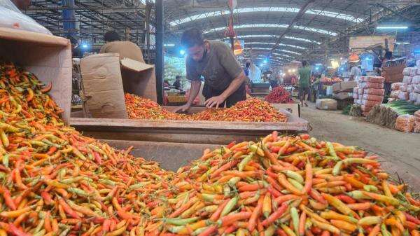 Harga Pangan 23 September 2026: Bawang Merah-Beras Naik, Cabai Rp89.500 per Kg Harga Pangan 23 September 2026: Bawang Merah-Beras Naik, Cabai Rp89.500 per Kg