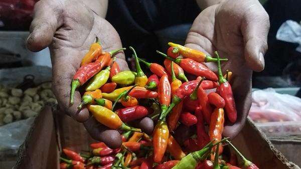 Harga Pangan Terbaru Hari Ini 2 September 2026: Cabai Rawit Merah hingga Minyak Goreng Naik Harga Pangan Terbaru Hari Ini 2 September 2026: Cabai Rawit Merah hingga Minyak Goreng Naik