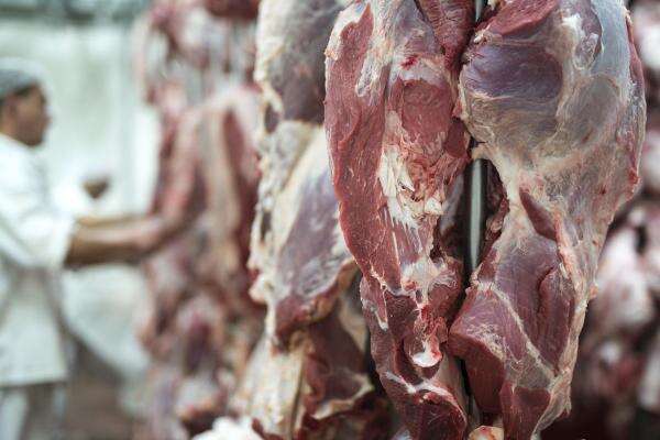 Daging Kurban Melimpah Saat Idul Adha, Kapan Boleh Dikonsumsi untuk MPASI Anak? Daging Kurban Melimpah Saat Idul Adha, Kapan Boleh Dikonsumsi untuk MPASI Anak?