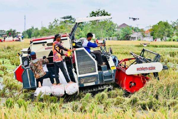 Heboh Semburan Lumpur 3 Meter di Dupak Rukun Surabaya, Warga Panik Mirip Lapindo Heboh Semburan Lumpur 3 Meter di Dupak Rukun Surabaya, Warga Panik Mirip Lapindo
