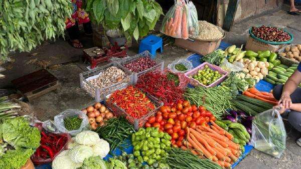 Mayoritas Harga Pangan Naik, Cabai Rawit Merah Tembus Rp91.300 per Kg Mayoritas Harga Pangan Naik, Cabai Rawit Merah Tembus Rp91.300 per Kg
