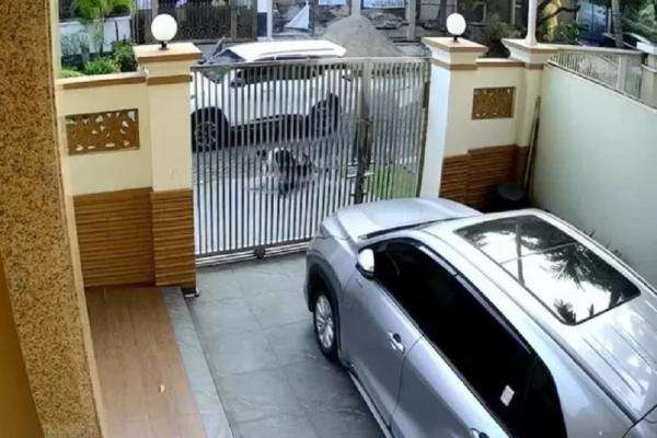 Polisi Tangkap 2 Pelaku yang Hendak Culik Lansia di PIK Jakut Polisi Tangkap 2 Pelaku yang Hendak Culik Lansia di PIK Jakut