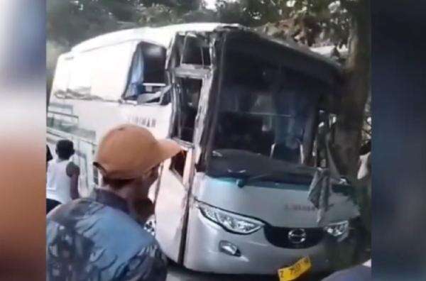 Kecelakaan di Pangandaran, Bus Tabrak Pohon usai Diserempet Truk Kecelakaan di Pangandaran, Bus Tabrak Pohon usai Diserempet Truk