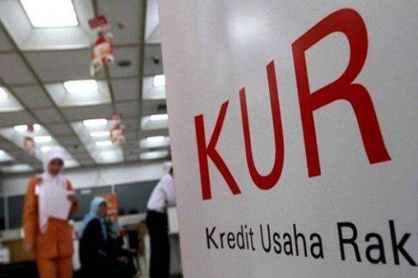 Pemerintah Dorong KUR untuk Usaha Nelayan hingga Budidaya Lobster Dioptimalkan Pemerintah Dorong KUR untuk Usaha Nelayan hingga Budidaya Lobster Dioptimalkan