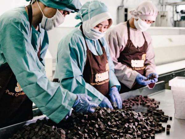 Emiten Kakao (COCO) Pangkas Rugi Jadi Rp30,23 Miliar di Semester I-2026 Emiten Kakao (COCO) Pangkas Rugi Jadi Rp30,23 Miliar di Semester I-2026