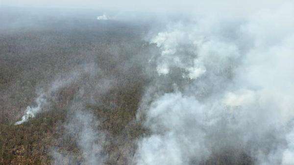 17.942 Hektare Lahan di Sejumlah Wilayah Masih Terbakar, Ini Datanya 17.942 Hektare Lahan di Sejumlah Wilayah Masih Terbakar, Ini Datanya