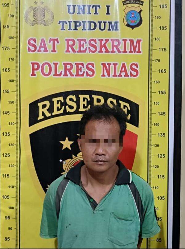 Kasus Pembunuhan Faresa Lawolo, Istri Korban Minta Abang Pelaku Agar Ditangkap Kasus Pembunuhan Faresa Lawolo, Istri Korban Minta Abang Pelaku Agar Ditangkap