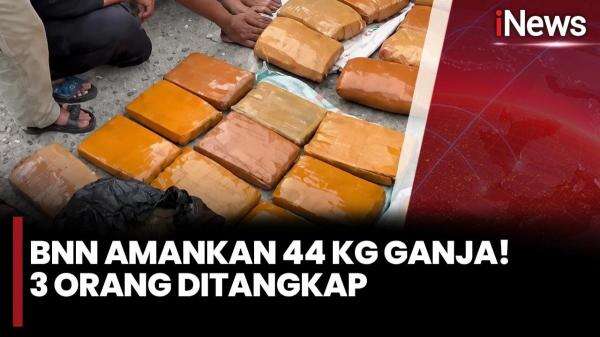 BNNP Sumbar Gagalkan Penyelundupan 44 Kg Ganja di Pasaman BNNP Sumbar Gagalkan Penyelundupan 44 Kg Ganja di Pasaman