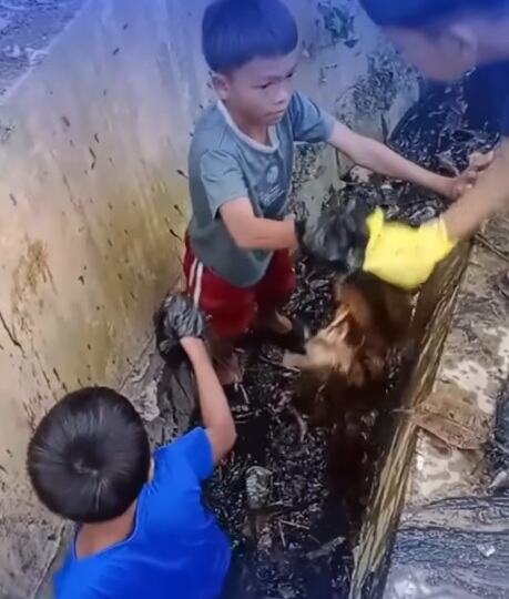 Viral, Aksi 4 Bocah SD Pandawara Cilik Bersihkan Selokan hingga Sungai Viral, Aksi 4 Bocah SD Pandawara Cilik Bersihkan Selokan hingga Sungai