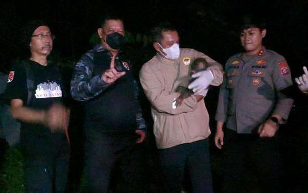 Terjebak Karhutla Kalteng, Induk dan Anak Orang Utan Berhasil Diselamatkan Terjebak Karhutla Kalteng, Induk dan Anak Orang Utan Berhasil Diselamatkan