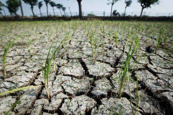 BMKG Prediksi El Nino Terjadi hingga Kuartal I-2027 BMKG Prediksi El Nino Terjadi hingga Kuartal I-2027