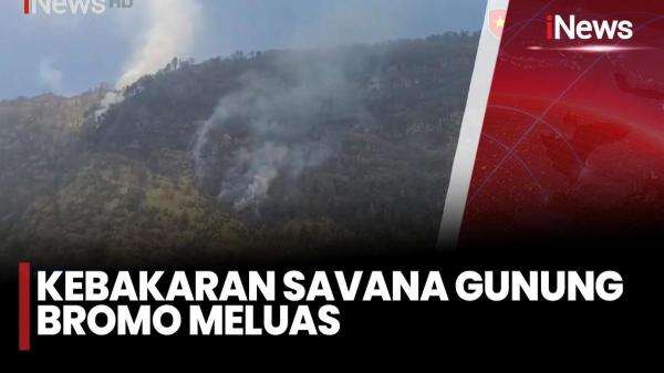 Kebakaran Savana Bromo Meluas Hingga 125 Hektar, Petugas Terkendala Medan Terjal dan Angin Kencang Kebakaran Savana Bromo Meluas Hingga 125 Hektar, Petugas Terkendala Medan Terjal dan Angin Kencang