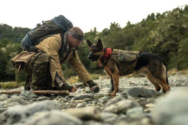 Sinopsis Heart of the Beast, Kisah Haru Anjing Odin Selamatkan Brad Pitt di Alaska Sinopsis Heart of the Beast, Kisah Haru Anjing Odin Selamatkan Brad Pitt di Alaska