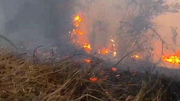 Kebakaran Lahan Meluas di Savana Bromo, Akses Wisata dari Malang dan Lumajang Ditutup Kebakaran Lahan Meluas di Savana Bromo, Akses Wisata dari Malang dan Lumajang Ditutup