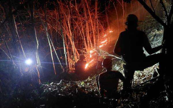 Karhutla di Kalteng Capai 46 Kejadian, 148,71 Hektare Hutan Terbakar Karhutla di Kalteng Capai 46 Kejadian, 148,71 Hektare Hutan Terbakar