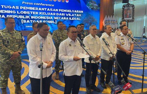Menko Dudung Perintahkan Satgas Buru Dalang Penyelundupan Benih Lobster dan Telusuri Aliran Dana Menko Dudung Perintahkan Satgas Buru Dalang Penyelundupan Benih Lobster dan Telusuri Aliran Dana