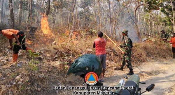62 Hektare Lahan Terbakar di 4 Provinsi, BNPB Ungkap Rinciannya 62 Hektare Lahan Terbakar di 4 Provinsi, BNPB Ungkap Rinciannya