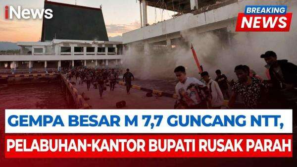 Dampak Gempa M 7,7 NTT, Pelabuhan Maumere hingga Hotel di Labuan Bajo Rusak Dampak Gempa M 7,7 NTT, Pelabuhan Maumere hingga Hotel di Labuan Bajo Rusak