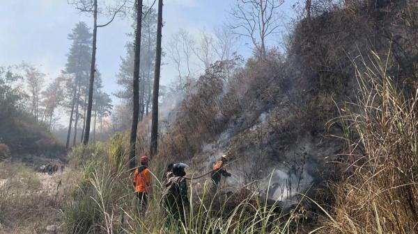 Karhutla di Gunung Merapi, Sebagian Besar Area Terbakar Berhasil Dipadamkan Tadi Malam Karhutla di Gunung Merapi, Sebagian Besar Area Terbakar Berhasil Dipadamkan Tadi Malam