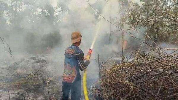 Karhutla Meluas di Palangka Raya, 6 Hektare Lahan Gambut Terbakar Karhutla Meluas di Palangka Raya, 6 Hektare Lahan Gambut Terbakar