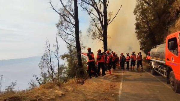 Hari ke-9 Karhutla Bromo, Satgas Targetkan Pekan Ini Padam Hari ke-9 Karhutla Bromo, Satgas Targetkan Pekan Ini Padam