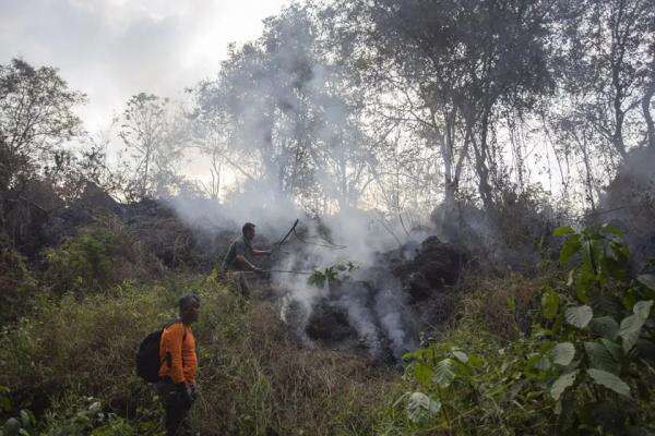 BNPB: Sudah Tidak Ada Lagi Titik Api, Karhutla di Gunung Ciremai Selesai BNPB: Sudah Tidak Ada Lagi Titik Api, Karhutla di Gunung Ciremai Selesai