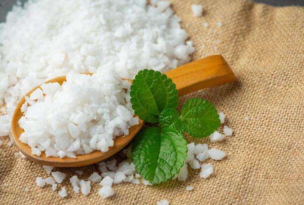 Benarkah Stevia Jauh Lebih Aman dari Pemanis Buatan? Ini Jawaban Menkes Benarkah Stevia Jauh Lebih Aman dari Pemanis Buatan? Ini Jawaban Menkes