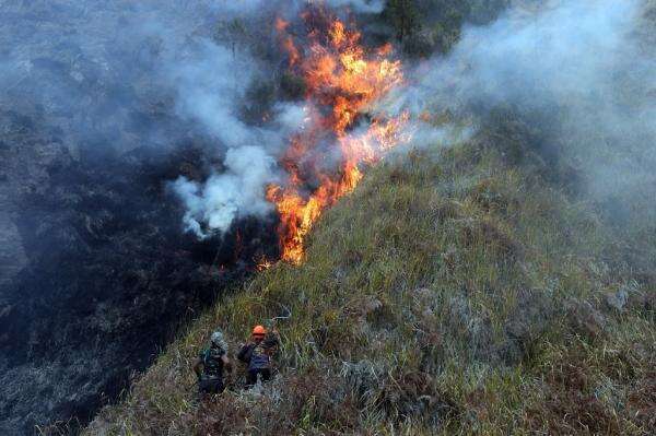 Polri Buru Pelaku Pembakaran Hutan, Penegakan Hukum Karhutla Diperketat! Polri Buru Pelaku Pembakaran Hutan, Penegakan Hukum Karhutla Diperketat!