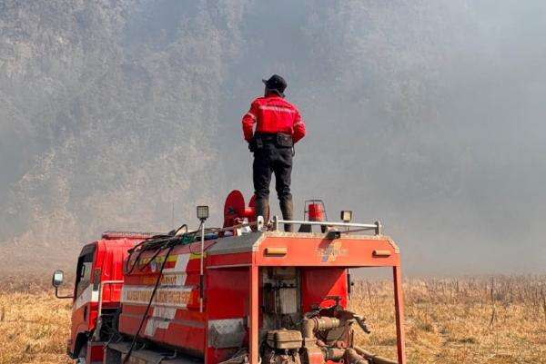 Kemenhut: Kebakaran Bromo Padam, Petugas Fokus Pendinginan Kemenhut: Kebakaran Bromo Padam, Petugas Fokus Pendinginan