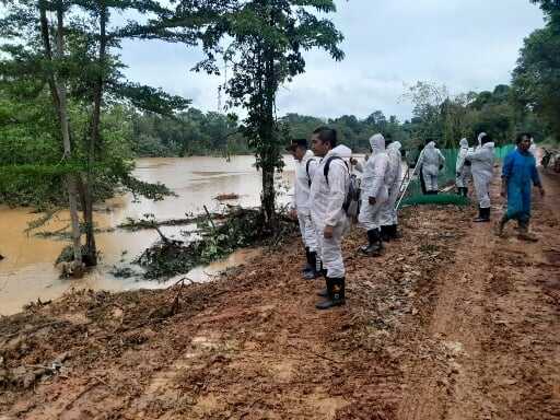 Kronologi Lima Ekor Buaya Rawa Lepas dari Penangkaran di Pulau Bulan Batam Kronologi Lima Ekor Buaya Rawa Lepas dari Penangkaran di Pulau Bulan Batam